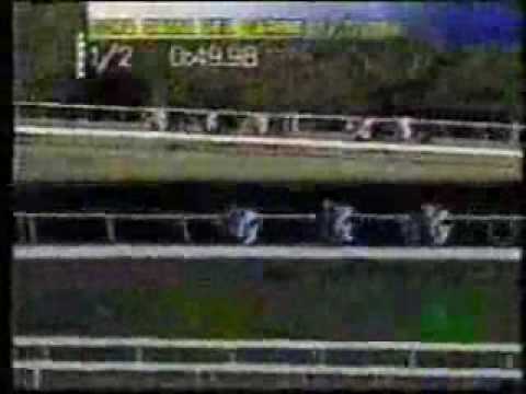 Copa Dama del Caribe 2002