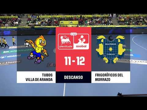 35ª Liga Plenitude J19: Tubos Aranda Villa de Aranda - Frigoríficos del Morrazo 29-27