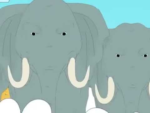 Caillou elefante tromp it’s