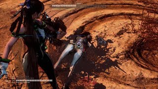 [閒聊] 劍星：槍械流