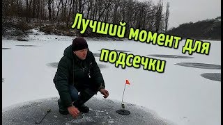 Не могу подсечь щуку на жерлицы