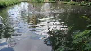 Download lagu Rasakan percikan Air yang tenang menjernihkan pikiran  mp3