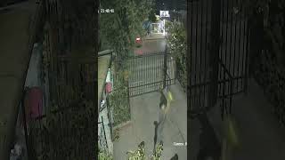 𝐏𝐈𝐑𝐀𝐓𝐀 𝐋𝐄 𝐃𝐀 𝐔𝐍 𝐙𝐀𝐏𝐀𝐓𝐀𝐙𝐎 𝐘 𝐄𝐋 𝐏𝐈𝐒𝐓𝐎𝐋𝐄𝐑𝐎 𝐋𝐎 𝐁𝐋𝐎𝐐𝐔𝐄𝐀 #futbol