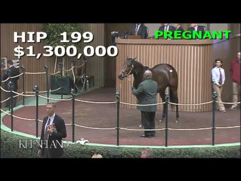 Keeneland Nov Sale 2015 - Hip 199 - Spring in the Air