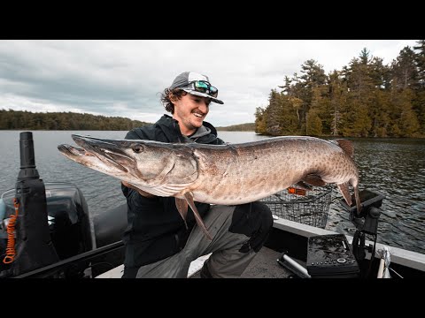 4 Days In Musky Country (Film)