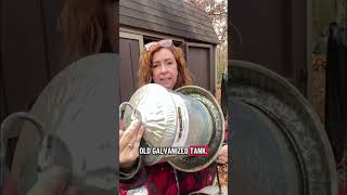 CHOOSING A WATER HEATER FOR YOUR CHICKENS. #chickens