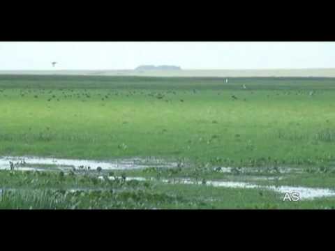 Bañado de los Indios-Rocha-Uruguay-13-4-11, Antonio Silveira