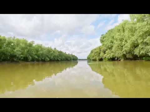 Cãlãtorie cu barca dinspre Gura Garlitei catre podul de la Giurgeni