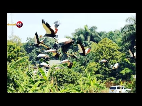 God showed me this sign when everyone turned against me | pastor Robert kayanja 