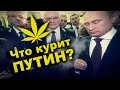 ЧТО КУРИТ ПУТИН? (Очередное бредовое заявление президента РФ) 