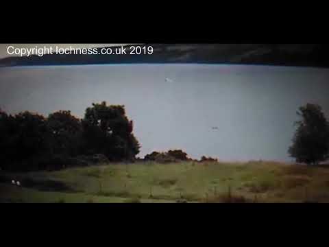 Two Loch Ness Ness Monsters Captured On Video on Our Nessie Live Cam