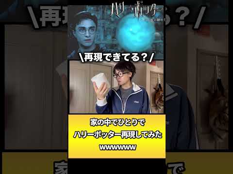 予言トイレットペーパーなんwwww #ハリーポッター　#ハリポタ　#不死鳥の騎士団　#harrypotter #再現　#ひとり再現　#モノマネ　#ものまね　#バズれ　#おすすめ
