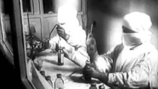 Video The Hell de Cocoman 