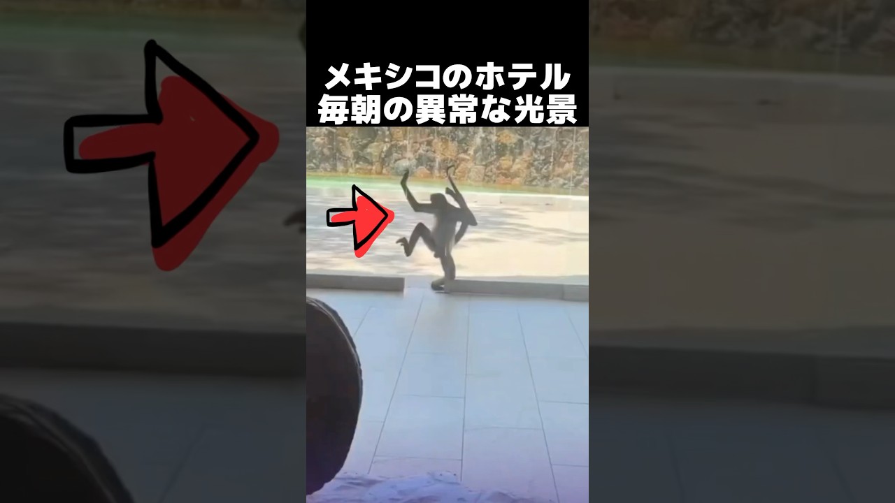 メキシコのリゾートホテルでの衝撃的な光景