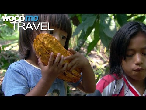 Esmeraldas Edelkakao (360° - GEO Reportage)