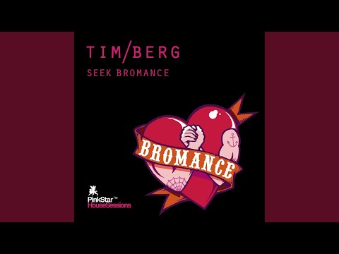 Seek Bromance (Avicii Vocal Extended)