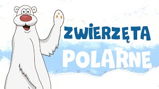 Zwierzęta polarne  dla dzieci  - bajki dla dzieci po polsku