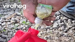 DIY Gas Siphon From Water Bottle || ViralHog