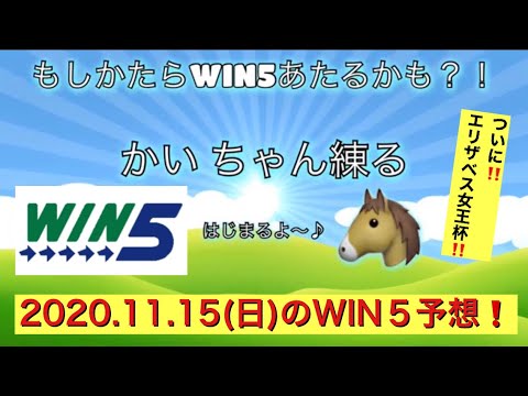 ＃エリザベス女王杯 ＃GⅠ ＃WIN5 ＃競馬 「もしかしたらWIN5当たるかも⁉︎」【2020.11.15】