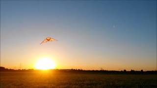 Freestyle Kite Unknown Sunset 2016