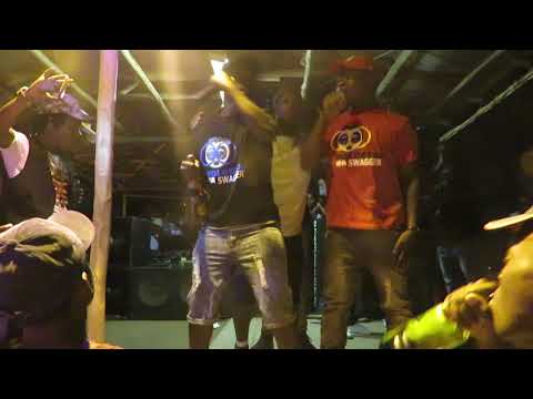 BIODIZY & PWJ PERFORMING R