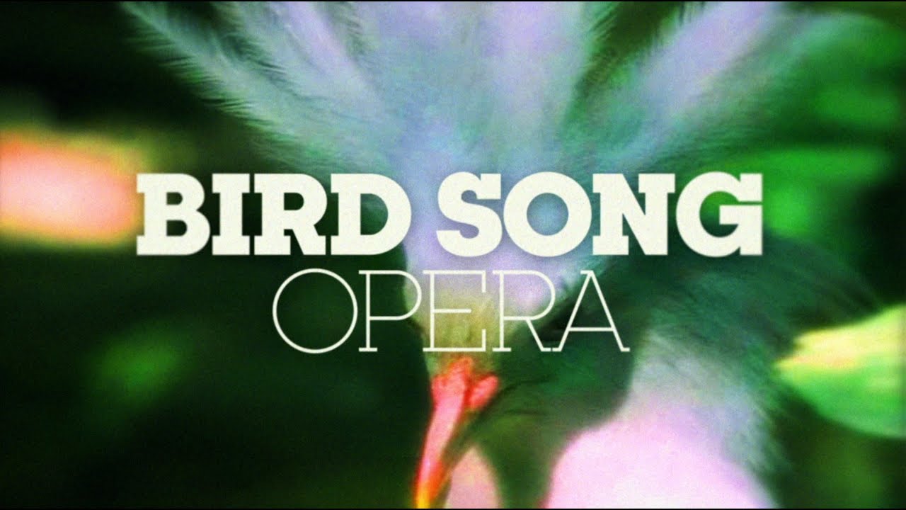 BIRD SONG OPERA - YouTube