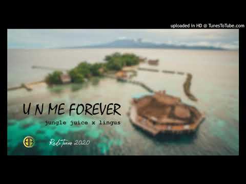 U N Me Forever - Jungle Juice X Lingus [RadiTunes] 2020