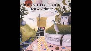 Robyn Hitchcock -  Polly on the Shore