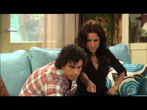 New Adventures Of Old Christine - Family tree