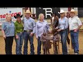Michael Cooper and Roll Sally: 2024 Brazos Bash Open Futurity Champions