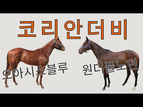 5/11-일요-강태성-코리안더비 출전마 분석(오아시스블루, 원더풀노던, 영스카이워커)