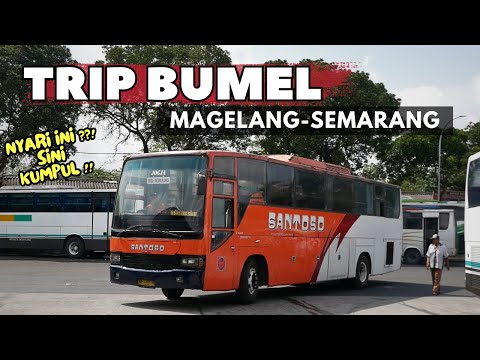 TRIP SANTOSO BUMEL MAGELANG-SEMARANG Body MARCOPOLO🔥