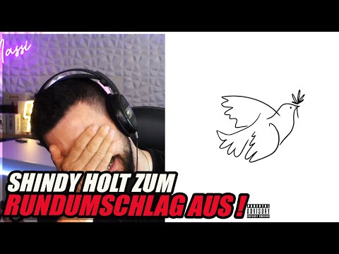 SHINDY FREE SPIRIT REACTION