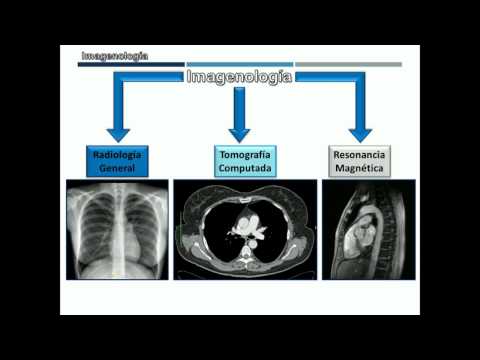 Imaging Overview for Anatomy