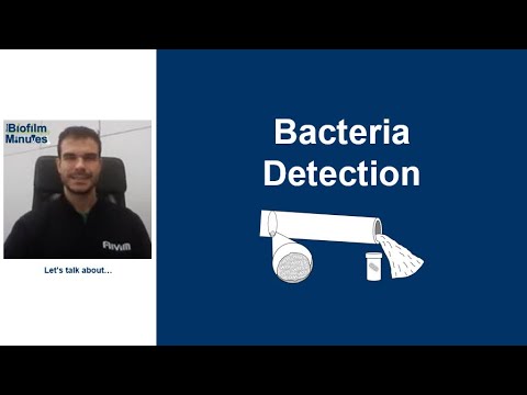 Biofilm Minutes - Bacteria Detection