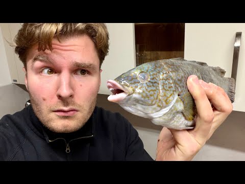 GEFLECKTER LIPPFISCH - MAX KOCHT