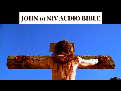 John 19 NIV AUDIO BIBLE(with text)