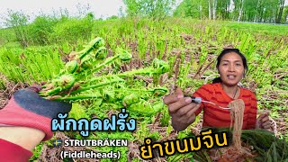 กำลังงามเกินห้ามใจ😁 ผักกูดฝรั่ง🇸🇪 STRUTBRÄKEN, Fiddleheads  รสชาติคล้ายผักกระเฉด ยำขนมจีนอร่อยมาก