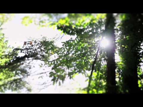 Robert Delaney - Home (Official Music Video)