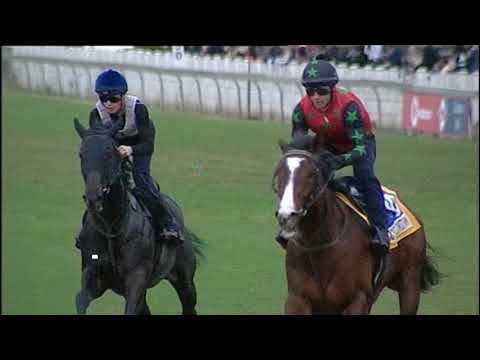 GALLOPS ROCKET COUNTDOWN