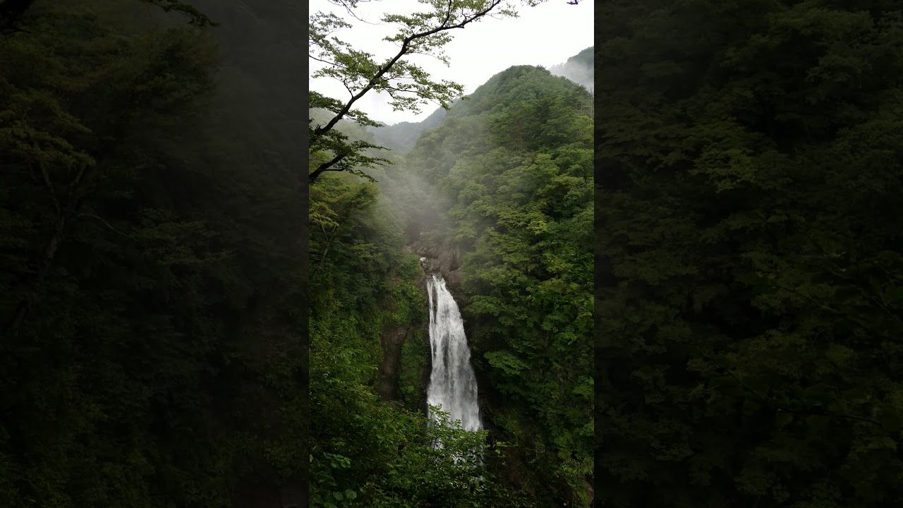 YouTube Short thumbnail