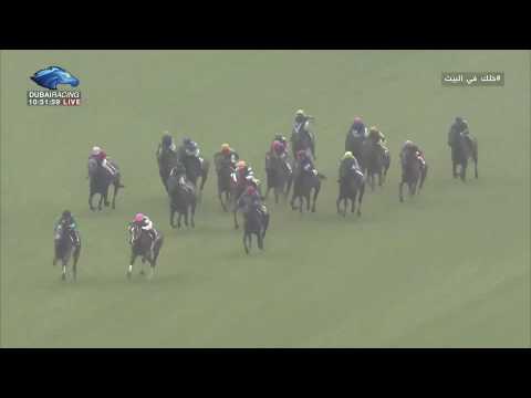 2020.04.12 Oka Sho (Japanese 1000 Guineas) - Daring Tact