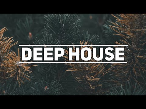 TWO LANES x Panama - Rolling Back (Monkey Safari Remix)