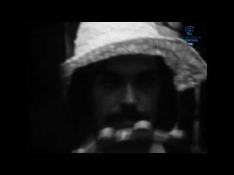 Sztuki audiowizualne - Jeszcze trochę lata