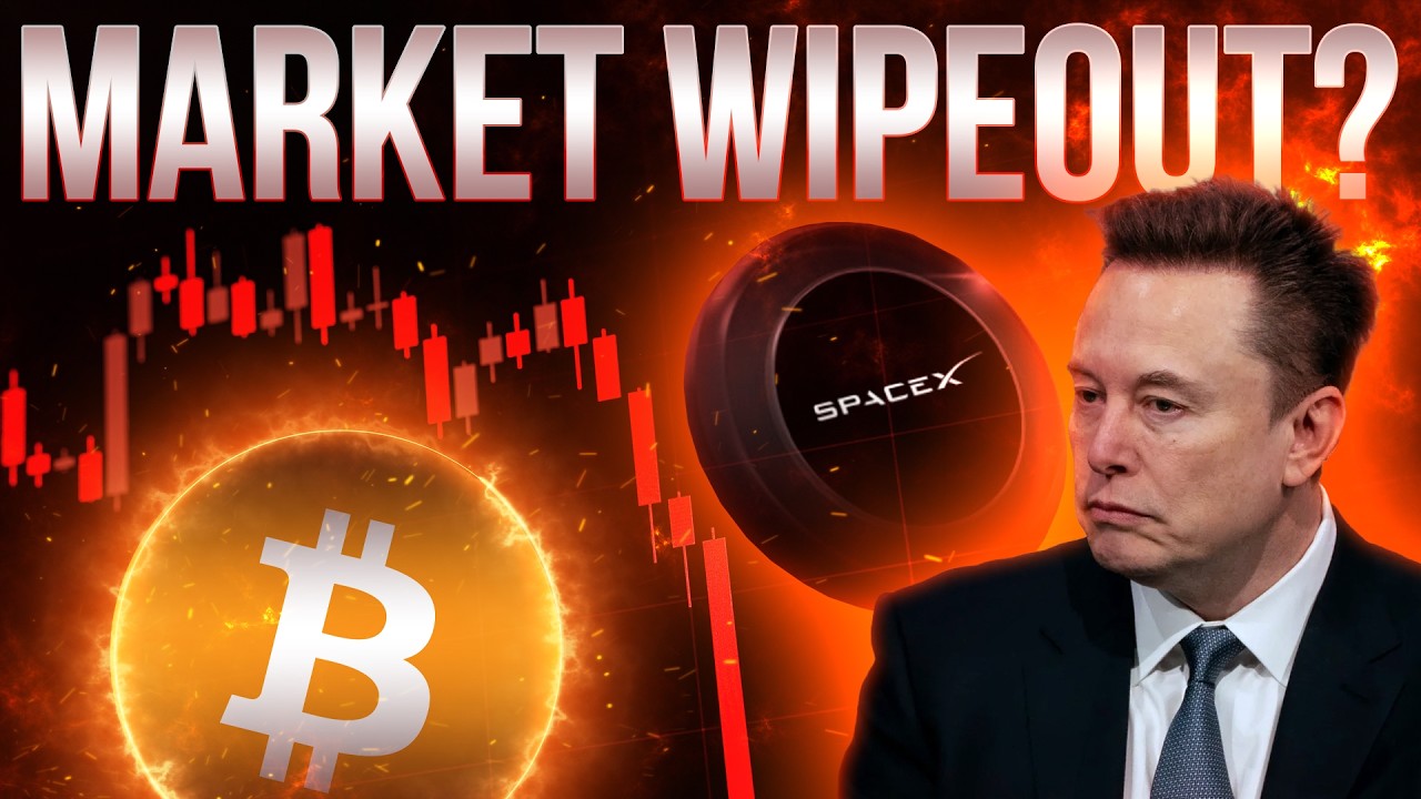 Market Wipeout?📉Space-X Stock Collapses🔥Crypto Update