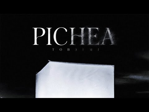 Tobal MJ - Pichea (Video Oficial)