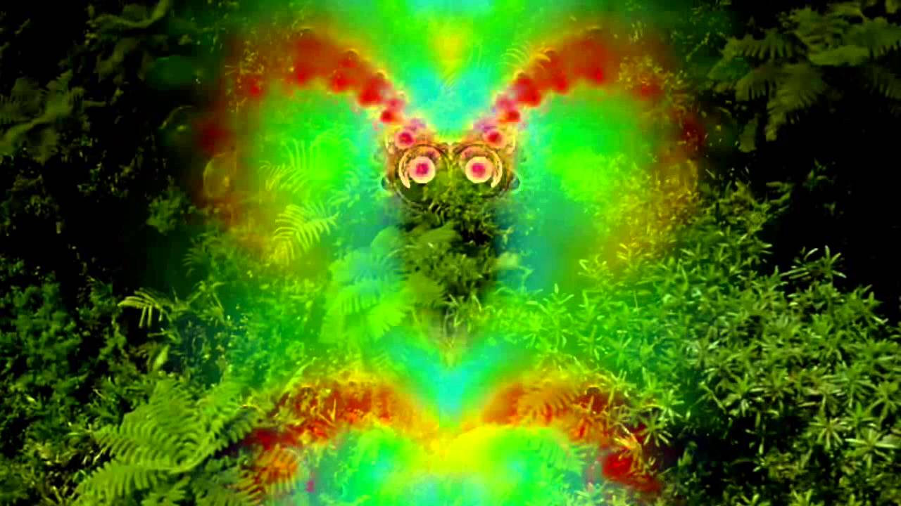 TRAILER: Terence McKenna's True Hallucinations