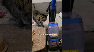 Paw Picks: Bissell TurboClean Pet Upright Carpet Cleaner
