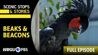 Download lagu Beaks and Beacons - Scenic Stops & Stories (Full Episode) mp3 Download lagu Beaks and Beacons - Scenic Stops & Stories (Full Episode) mp3
