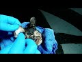 Kitten with maggots infestation. Ear cleaning.  Video speed at 1,5x  !